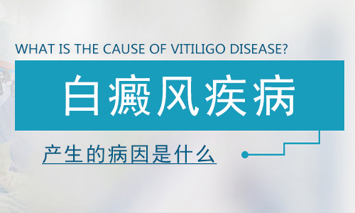 昆明白颠疯医院在什么地方